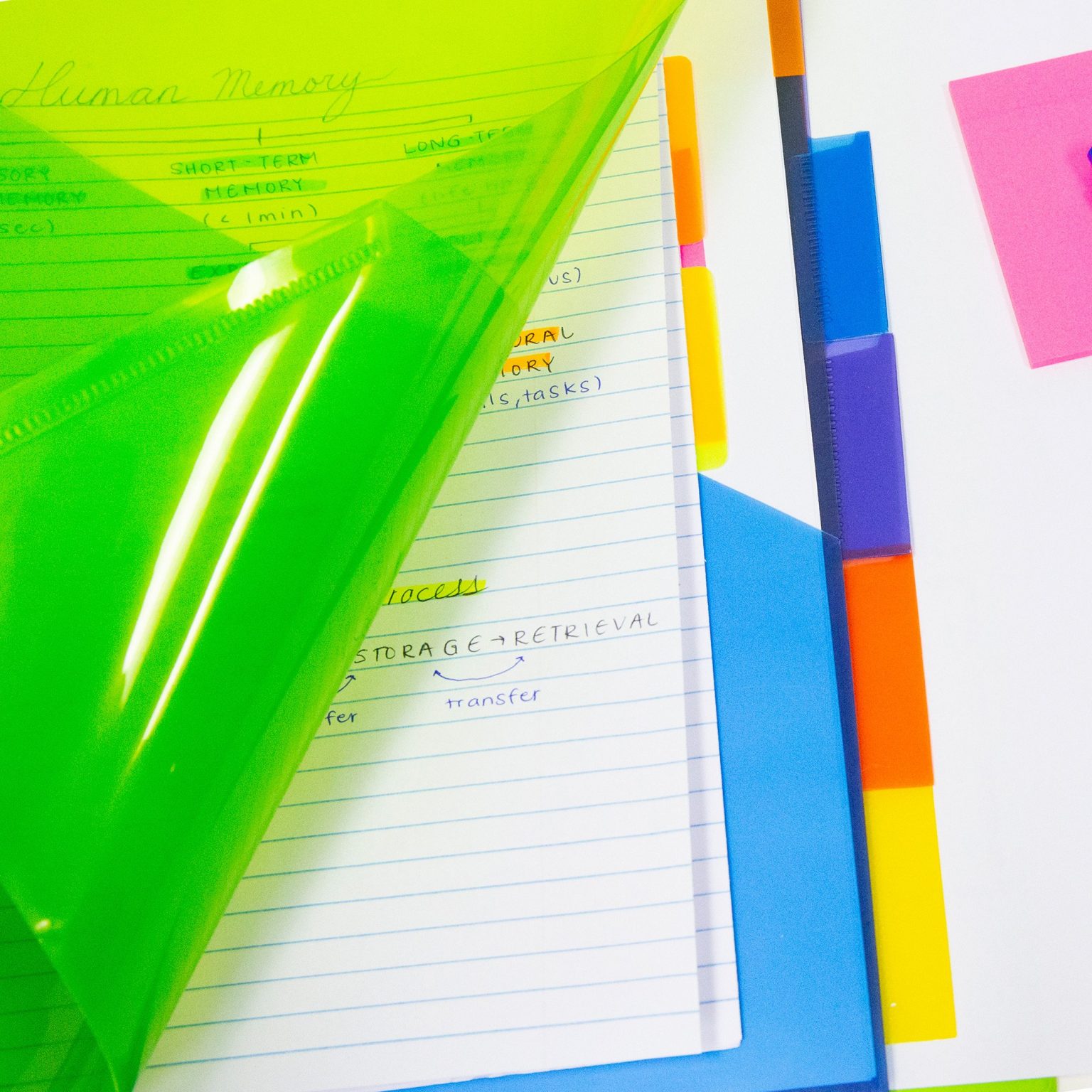 BAZIC 3Ring Binder Pockets Dividers w/ 5Insertable Color Tabs