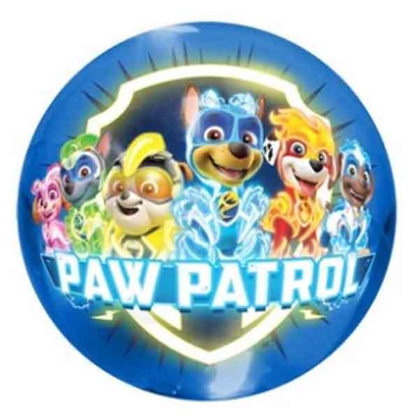 4" Light Ball - Paw Patrol - Office Supplies