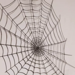 halloween-cobweb-wall-decor